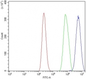 Flow cytometry testing of mouse RAW264.7 cells with Pycard antibody at 1ug/million cells (blocked with goat sera); Red=cells alone, Green=isotype control, Blue= Pycard antibody.