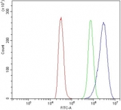 Flow cytometry testing of rat NRK cells with RNase L antibody at 1ug/million cells (blocked with goat sera); Red=cells alone, Green=isotype control, Blue= RNase L antibody.