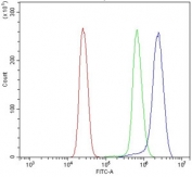 Flow cytometry testing of human U937 cells with SEC14L3 antibody at 1ug/million cells (blocked with goat sera); Red=cells alone, Green=isotype control, Blue= SEC14L3 antibody.