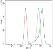 Flow cytometry testing of mouse HEPA1-6 cells with Slc44a2 antibody at 1ug/million cells (blocked with goat sera); Red=cells alone, Green=isotype control, Blue= Slc44a2 antibody.