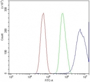 Flow cytometry testing of human U-87 MG cells with SND1 antibody at 1ug/million cells (blocked with goat sera); Red=cells alone, Green=isotype control, Blue= SND1 antibody.