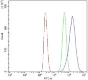 Flow cytometry testing of mouse RAW264.7 cells with Timp1 antibody at 1ug/million cells (blocked with goat sera); Red=cells alone, Green=isotype control, Blue= Timp1 antibody.