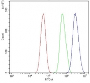 Flow cytometry testing of human U-87 MG cells with DAI antibody at 1ug/million cells (blocked with goat sera); Red=cells alone, Green=isotype control, Blue= DAI antibody.