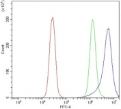 Flow cytometry testing of human K562 cells with Breakpoint cluster region protein antibody at 1ug/million cells (blocked with goat sera); Red=cells alone, Green=isotype control, Blue= Breakpoint cluster region protein antibody.