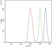 Flow cytometry testing of human ThP-1 cells with BMPR2 antibody at 1ug/million cells (blocked with goat sera); Red=cells alone, Green=isotype control, Blue= BMPR2 antibody.