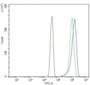 Flow cytometry testing of human HeLa cells with CASP9 antibody at 1ug/million cells (blocked with goat sera); Red=cells alone, Green=isotype control, Blue= CASP9 antibody.