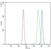 Flow cytometry testing of mouse spleen cells with Caspase 9 antibody at 1ug/million cells (blocked with goat sera); Red=cells alone, Green=isotype control, Blue= Caspase 9 antibody.