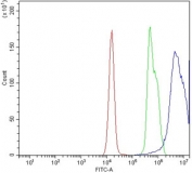 Flow cytometry testing of human JK-1 cells with CXCR4 antibody at 1ug/million cells (blocked with goat sera); Red=cells alone, Green=isotype control, Blue= CXCR4 antibody.