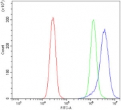Flow cytometry testing of human K562 cells with Deoxyhypusine synthase antibody at 1ug/million cells (blocked with goat sera); Red=cells alone, Green=isotype control, Blue= Deoxyhypusine synthase antibody.