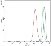 Flow cytometry testing of human A549 cells with DLGAP1 antibody at 1ug/million cells (blocked with goat sera); Red=cells alone, Green=isotype control, Blue= DLGAP1 antibody.