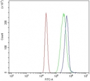 Flow cytometry testing of human HL60 cells with DYSF antibody at 1ug/million cells (blocked with goat sera); Red=cells alone, Green=isotype control, Blue= DYSF antibody.
