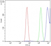 Flow cytometry testing of human U-87 MG cells with SGT1 antibody at 1ug/million cells (blocked with goat sera); Red=cells alone, Green=isotype control, Blue= SGT1 antibody.