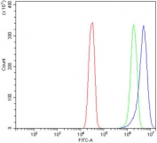 Flow cytometry testing of human SiHa cells with PAST1 antibody at 1ug/million cells (blocked with goat sera); Red=cells alone, Green=isotype control, Blue= PAST1 antibody.