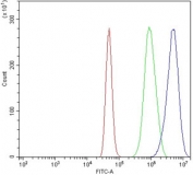 Flow cytometry testing of human A431 cells with FTO antibody at 1ug/million cells (blocked with goat sera); Red=cells alone, Green=isotype control, Blue= FTO antibody.