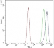 Flow cytometry testing of human Caco-2 cells with Holocytochrome c-type synthase antibody at 1ug/million cells (blocked with goat sera); Red=cells alone, Green=isotype control, Blue= Holocytochrome c-type synthase antibody.