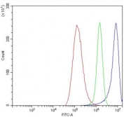 Flow cytometry testing of human A549 cells with HOMER1 antibody at 1ug/million cells (blocked with goat sera); Red=cells alone, Green=isotype control, Blue= HOMER1 antibody.