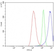 Flow cytometry testing of human A549 cells with Neurofilament-66 antibody at 1ug/million cells (blocked with goat sera); Red=cells alone, Green=isotype control, Blue= Neurofilament-66 antibody.