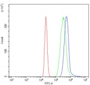 Flow cytometry testing of human HL60 cells with LIR-1 antibody at 1ug/million cells (blocked with goat sera); Red=cells alone, Green=isotype control, Blue= LIR-1 antibody.