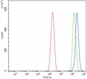 Flow cytometry testing of human U-2 OS cells with p38 gamma antibody at 1ug/million cells (blocked with goat sera); Red=cells alone, Green=isotype control, Blue= p38 gamma antibody.