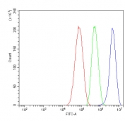 Flow cytometry testing of human HepG2 cells with MerTK antibody at 1ug/million cells (blocked with goat sera); Red=cells alone, Green=isotype control, Blue= MerTK antibody.
