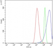 Flow cytometry testing of human A549 cells with NDE1 antibody at 1ug/million cells (blocked with goat sera); Red=cells alone, Green=isotype control, Blue= NDE1 antibody.