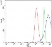 Flow cytometry testing of human A549 cells with Nudel antibody at 1ug/million cells (blocked with goat sera); Red=cells alone, Green=isotype control, Blue= Nudel antibody.
