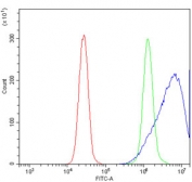 Flow cytometry testing of human K562 cells with NRGN antibody at 1ug/million cells (blocked with goat sera); Red=cells alone, Green=isotype control, Blue= NRGN antibody.