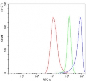 Flow cytometry testing of human A549 cells with Ornithine Aminotransferase antibody at 1ug/million cells (blocked with goat sera); Red=cells alone, Green=isotype control, Blue= Ornithine Aminotransferase antibody.