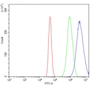 Flow cytometry testing of human A431 cells with PPP4R1 antibody at 1ug/million cells (blocked with goat sera); Red=cells alone, Green=isotype control, Blue= PPP4R1 antibody.