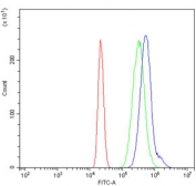Flow cytometry testing of human HL60 cells with Prolyl Endopeptidase antibody at 1ug/million cells (blocked with goat sera); Red=cells alone, Green=isotype control, Blue= Prolyl Endopeptidase antibody.