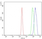 Flow cytometry testing of mouse RAW264.7 cells with Psmb1 antibody at 1ug/million cells (blocked with goat sera); Red=cells alone, Green=isotype control, Blue= Psmb1 antibody.