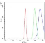Flow cytometry testing of human A431 cells with Proteasome subunit beta type-6 antibody at 1ug/million cells (blocked with goat sera); Red=cells alone, Green=isotype control, Blue= Proteasome subunit beta type-6 antibody.