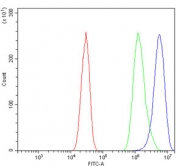 Flow cytometry testing of mouse HEPA1-6 cells with Slc7a9 antibody at 1ug/million cells (blocked with goat sera); Red=cells alone, Green=isotype control, Blue= Slc7a9 antibody.
