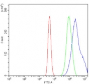 Flow cytometry testing of human A431 cells with SLFN11 antibody at 1ug/million cells (blocked with goat sera); Red=cells alone, Green=isotype control, Blue= SLFN11 antibody.