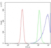 Flow cytometry testing of human K562 cells with TRAP alpha antibody at 1ug/million cells (blocked with goat sera); Red=cells alone, Green=isotype control, Blue= TRAP alpha antibody.