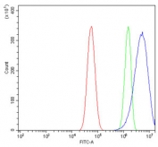 Flow cytometry testing of human U-87 MG cells with Steryl-sulfatase antibody at 1ug/million cells (blocked with goat sera); Red=cells alone, Green=isotype control, Blue= Steryl-sulfatase antibody.