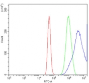 Flow cytometry testing of human A431 cells with KMT1B antibody at 1ug/million cells (blocked with goat sera); Red=cells alone, Green=isotype control, Blue= KMT1B antibody.