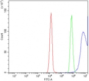 Flow cytometry testing of human Jurkat cells with Ki-67 antibody at 1ug/million cells (blocked with goat sera); Red=cells alone, Green=isotype control, Blue= Ki-67 antibody.