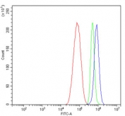 Flow cytometry testing of human HepG2 cells with IGF2R antibody at 1ug/million cells (blocked with goat sera); Red=cells alone, Green=isotype control, Blue= IGF2R antibody.
