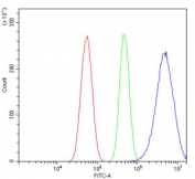 Flow cytometry testing of human U-87 MG cells with RALBP1 antibody at 1ug/million cells (blocked with goat sera); Red=cells alone, Green=isotype control, Blue= RALBP1 antibody.