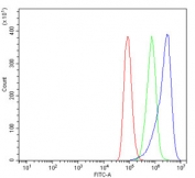 Flow cytometry testing of human A549 cells with COPS5 antibody at 1ug/million cells (blocked with goat sera); Red=cells alone, Green=isotype control, Blue= COPS5 antibody.