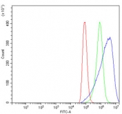 Flow cytometry testing of human A549 cells with Calpain 1 antibody at 1ug/million cells (blocked with goat sera); Red=cells alone, Green=isotype control, Blue= Calpain 1 antibody.