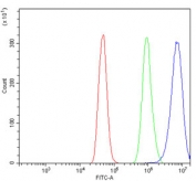 Flow cytometry testing of human a431 cells with RPL13A antibody at 1ug/million cells (blocked with goat sera); Red=cells alone, Green=isotype control, Blue= RPL13A antibody.