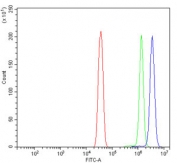 Flow cytometry testing of human HeLa cells with DDX6 antibody at 1ug/million cells (blocked with goat sera); Red=cells alone, Green=isotype control, Blue= DDX6 antibody.