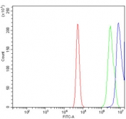 Flow cytometry testing of human A431 cells with CCAR2 antibody at 1ug/million cells (blocked with goat sera); Red=cells alone, Green=isotype control, Blue= CCAR2 antibody.