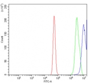 Flow cytometry testing of human A431 cells with CLIC1 antibody at 1ug/million cells (blocked with goat sera); Red=cells alone, Green=isotype control, Blue= CLIC1 antibody.