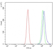 Flow cytometry testing of human Caco-2 cells with Dicer antibody at 1ug/million cells (blocked with goat sera); Red=cells alone, Green=isotype control, Blue= Dicer antibody.