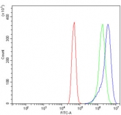 Flow cytometry testing of human A431 cells with DLAT antibody at 1ug/million cells (blocked with goat sera); Red=cells alone, Green=isotype control, Blue= DLAT antibody.