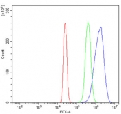 Flow cytometry testing of fixed and permeabilized human HL60 cells with EDC4 antibody at 1ug/million cells (blocked with goat sera); Red=cells alone, Green=isotype control, Blue= EDC4 antibody.