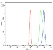 Flow cytometry testing of mouse ANA-1 cells with Gbp2 antibody at 1ug/million cells (blocked with goat sera); Red=cells alone, Green=isotype control, Blue= Gbp2 antibody.